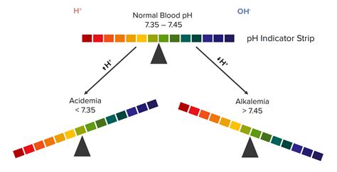 Acid Base Balance and the pH of Blood | Online Medical Library