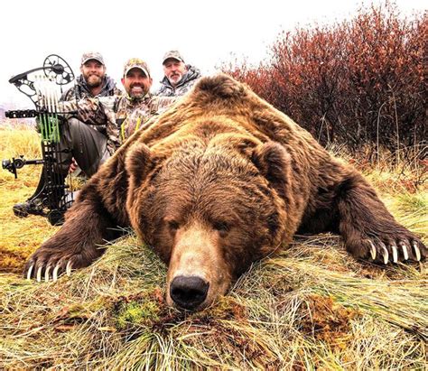 Board considers changes to 2020 bear hunting season | Extra ...