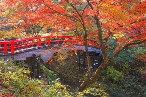 10 amazing things to do in Gunma, Japan! - fromJapan