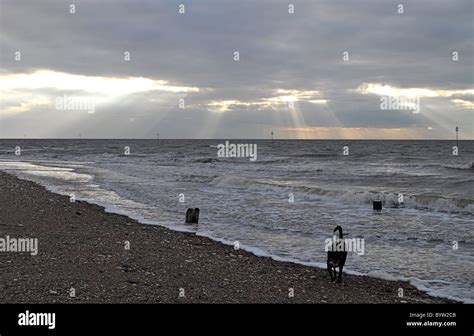 North sea sunset over groins, beach, high tide, Norfolk skies Stock Photo - Alamy