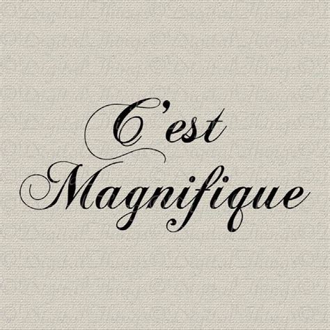 French Script C'est Magnifique French Decor Wall Decor Art