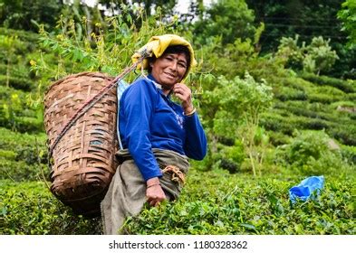 78 Traditional Dress Darjeeling Images, Stock Photos & Vectors | Shutterstock