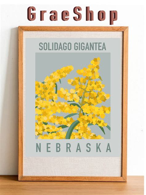 Nebraska State Flower Print Goldenrod DIGITAL PRINT - Etsy