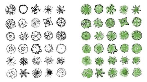 Landscape Design Symbols Adobe Illustrator