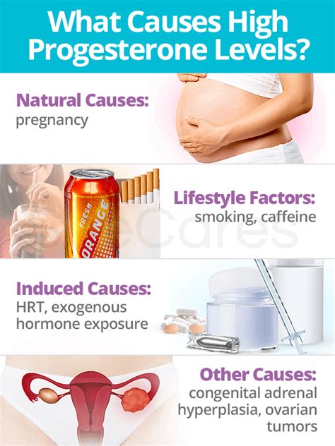 High Progesterone Levels: About & Causes | SheCares