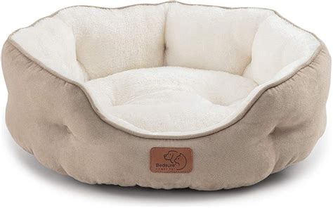 Best Cat Bed For Larger Cats | Pet Bed Finder