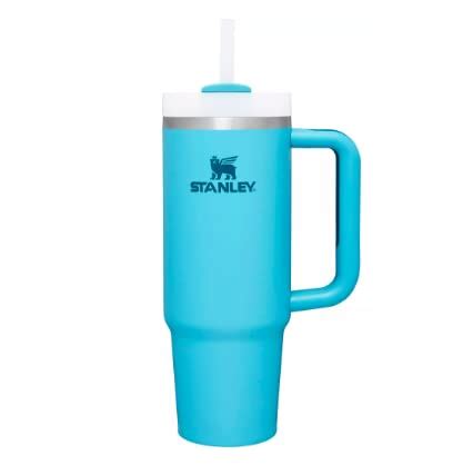 STANLEY Quencher H2.0 Tumbler - Pool, 30 : Amazon.in: Home & Kitchen