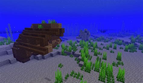 7 best ocean seeds in Minecraft 1.18