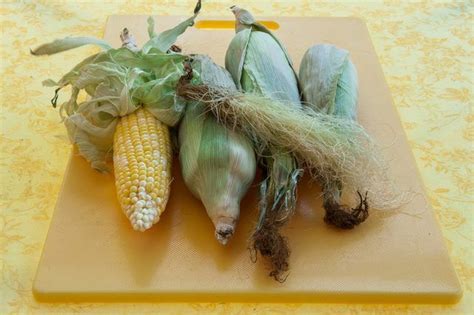 How to Freeze Corn on the Cob Without Blanching | Frozen corn, Corn, Freezing corn