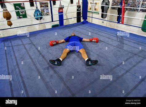 Boxing Knockout