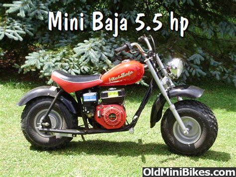 Bottom Frame Members, straight line? | OldMiniBikes.com