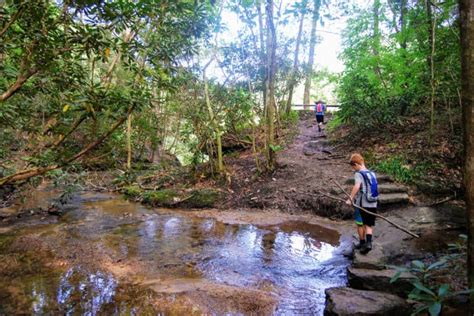 The Best Big South Fork Hiking Trails -12 Of Our Favorites