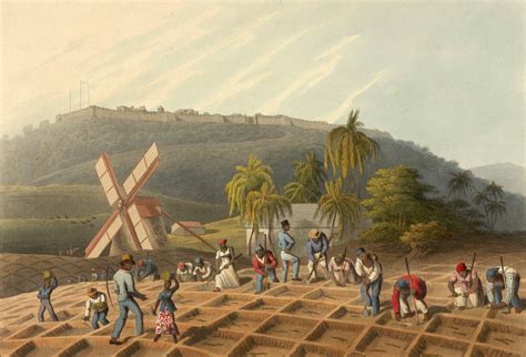 Empire and Slavery in the Caribbean through the 19th Century ...