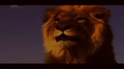 The Real Lion King 2019 - 2009: Mufasa Spirit and Simba Scene | Remember Who You Are (Read Des ...