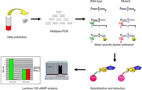 The Use of Luminex Assays to Measure Cytokines - Journal of Investigative Dermatology