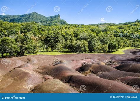 Breathtaking View of the Forests Captured in Seven Colored Earth, Chamarel, Mauritius Stock ...