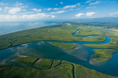 Daintree Rainforest Tours | Cape Tribulation | 4WD Bloomfield Track