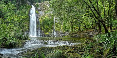 Cassowary Falls Daintree Waterfall Tour - www.ilovecairns.com.au