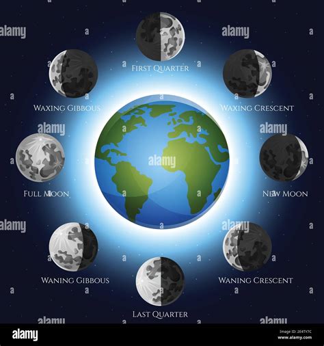 Moon phases lunar cycle shadow and earth globe vector illustration Stock Vector Image & Art - Alamy