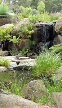 Rock Garden History - Australian National Botanic Gardens