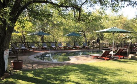 19 Kruger National Park Safari Packages and Lodges