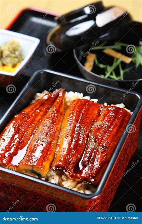 Broiled eels on rice stock image. Image of nutrition - 62236101