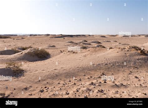 Desert landscape of Sahara Stock Photo - Alamy