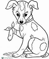 Dog Coloring Pages sketch template