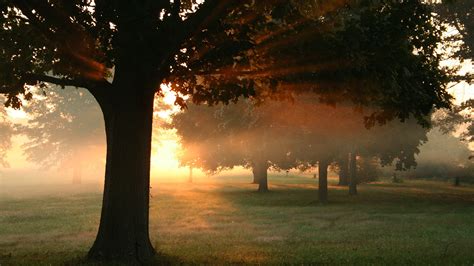 Serene Nature: HD Wallpaper of Scenic Mornings