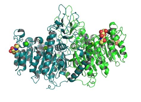 Alkaline Phosphatase High - All about APH