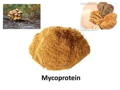 PPT - Mycoprotein PowerPoint Presentation, free download - ID:3051597