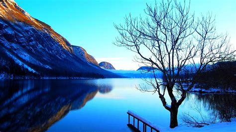 mountains, Landscapes, Nature, Lone, Tree, Natural, Scenery, Pure, Blue ...