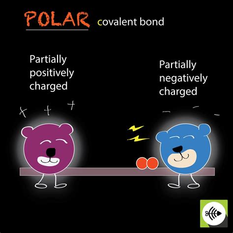 What is Polar Covalent Bond