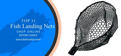 11 Best Fishing Landing Nets for Every Situation [Buying Guide 2022 ]