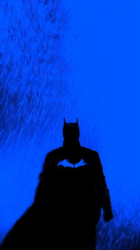 Blue Batman in 2023 | Batman artwork, Batman canvas, Batman and catwoman