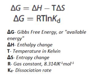 Gibbs Free Energy Formula : Structure, Preparations and Properties