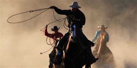 95+ Cowboy Horse Names - Organized by Horse Color - Helpful Horse Hints