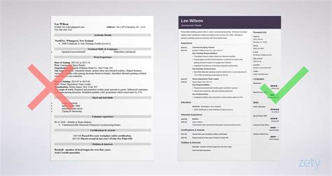 Cool Resume Templates : Cool Resume Template with awesome design - # ...