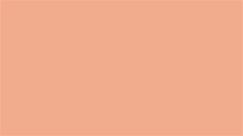 Salmon Slice Solid Color Background Image | Free Image Generator