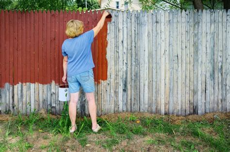 Seal, Stain, or Paint: The Wooden Fence-Owner’s Dilemma