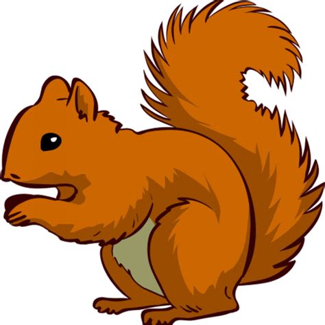 Download High Quality squirrel clipart woodland Transparent PNG Images - Art Prim clip arts 2019