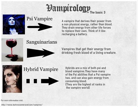 Unveiling the World of Vampires