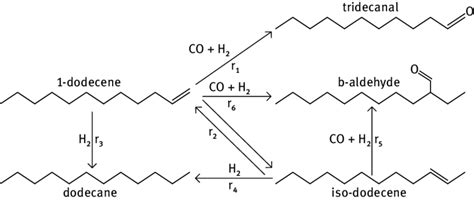 70: Reaction network of the hydroformylation process of 1-dodecne to... | Download Scientific ...