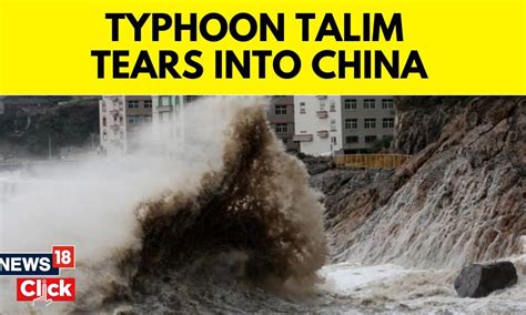 China Typhoon 2023 | Typhoon Talim Leaves Behind Crushed Vehicles, Beached Whale In Southern ...