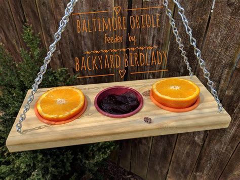 Baltimore Orioles Love This New Oriole Feeder - Order Yours Today! | Oriole bird feeders, Wood ...