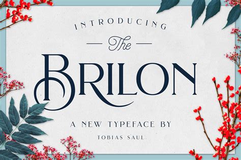 Brilon Font + Extras ~ Display Fonts ~ Creative Market