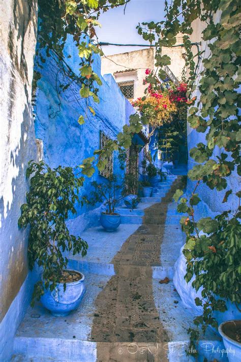 Chefchaouen, Morocco - Morocco Photo (43283733) - Fanpop