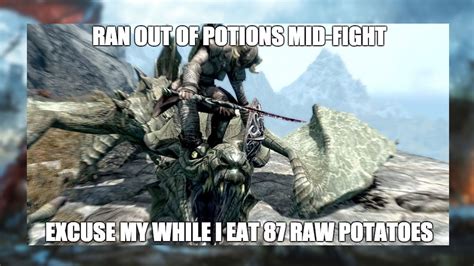 The best Skyrim memes on the internet