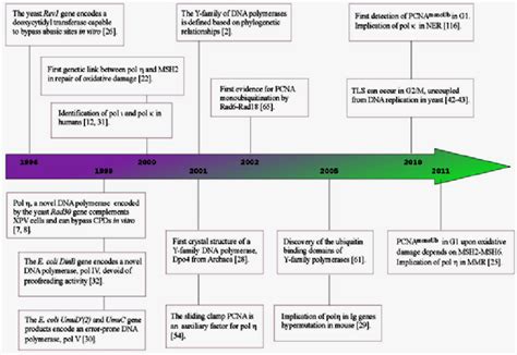 Timeline of the principal TLS milestones since the discovery of the... | Download Scientific Diagram