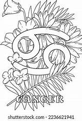 Cancer Zodiac Sign Coloring Pages Stock Illustration 2236621941  sketch template